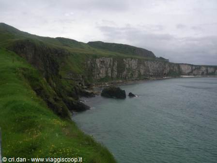 Grassy cliffs plunging into the sea under cloudy skies