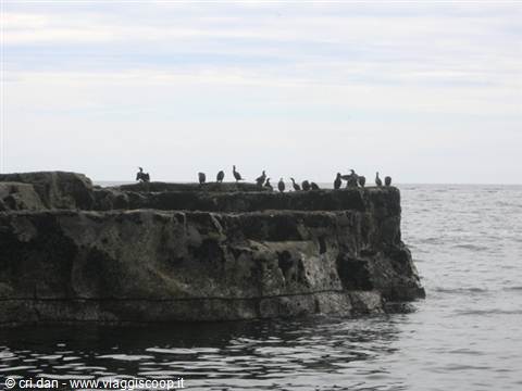 Cliffs of Moher from the sea