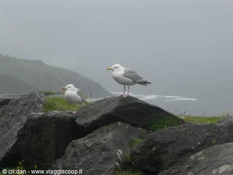 Dingle Peninsula