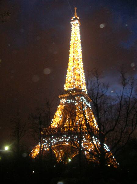 Eiffel Tower lit up at night among bare branches in Paris