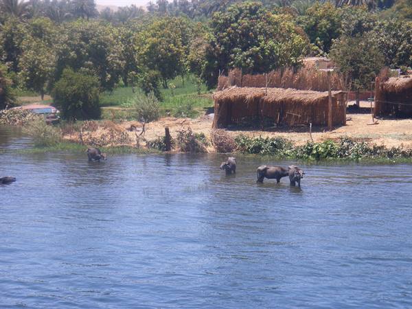 During the navigation on the Nile