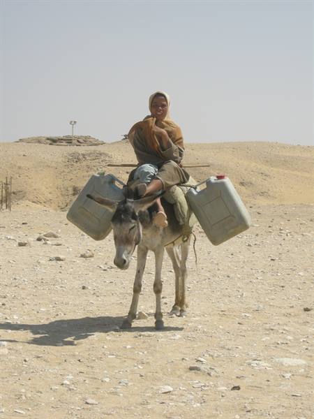 Sakkara