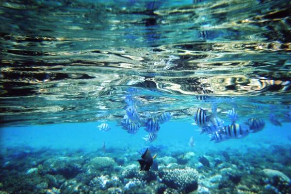 A bit of snorkeling...