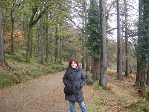 Glendalough 