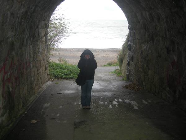 KILLINEY - Towards the beach