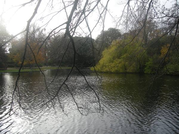 St. Stephen's Green