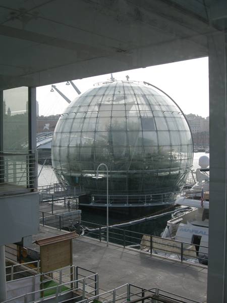 Outside the aquarium...