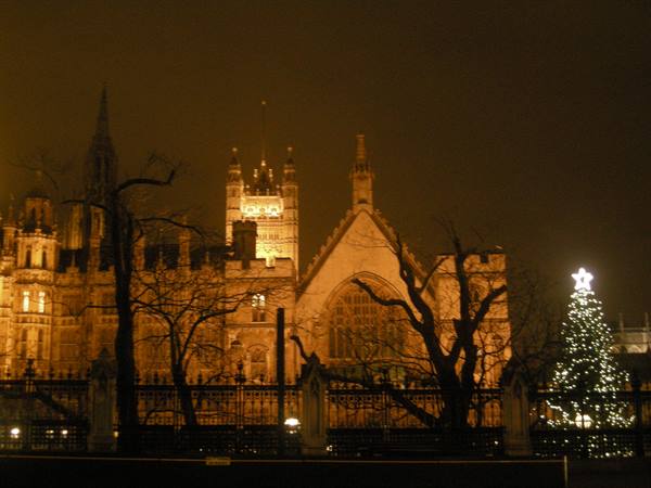 Westminster Abbey lit at night with Christmas tree and bare branches