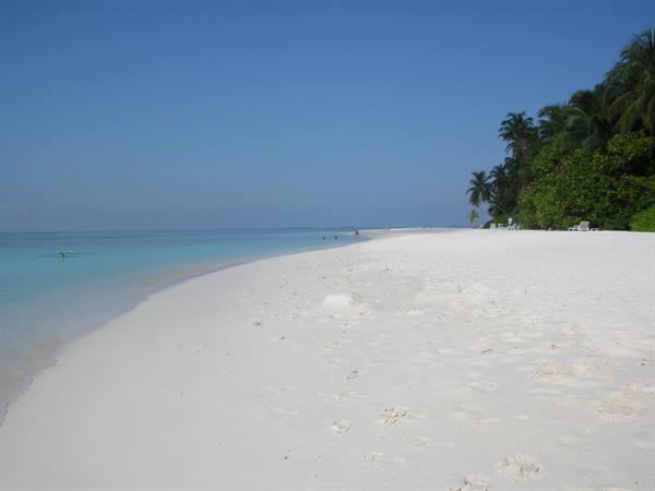 White sand beach with palm trees and loungers, swimmers in turquoise water