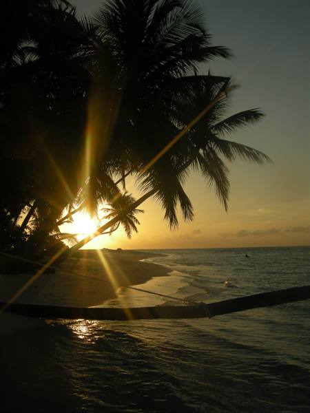 Low sun behind leaning palm trees on sandy beach and calm sea