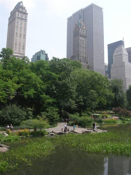 Visitors on the path by Central Park pond, skyscrapers rising above green trees