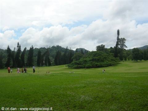 Kandy - royal botanical gardens