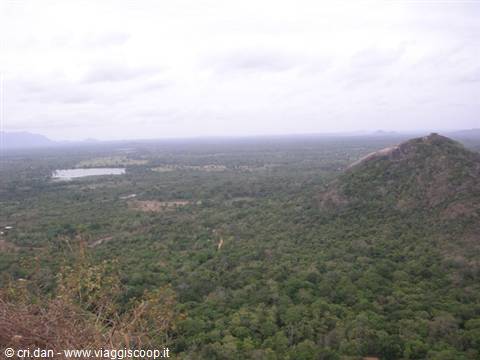 Endless green forest with lake and rocky hill under cloudy sky