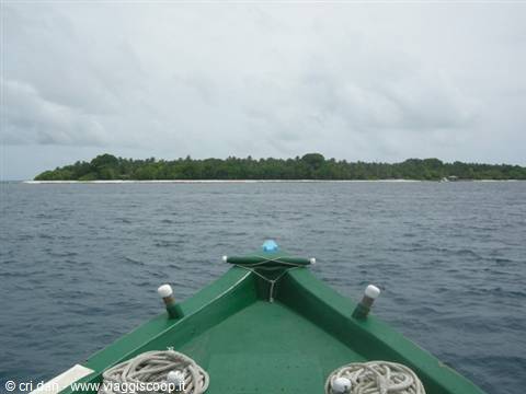Green wooden boat bow heading toward tropical island with palms and white beach