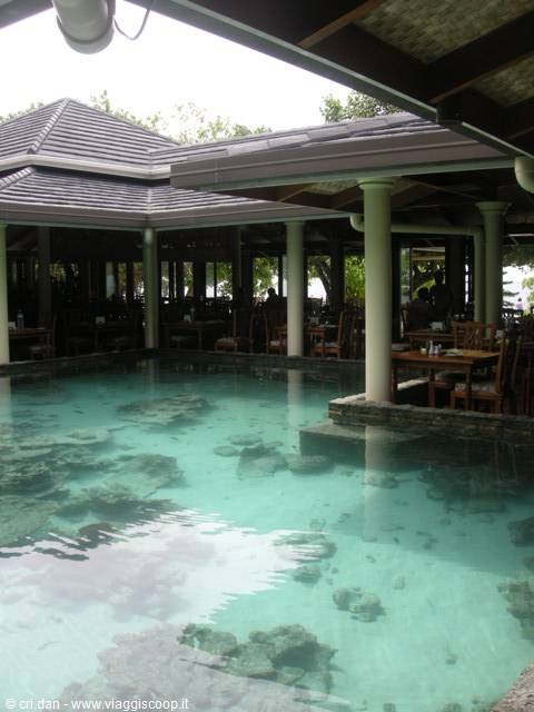 Pool with corals beside the seaside restaurant