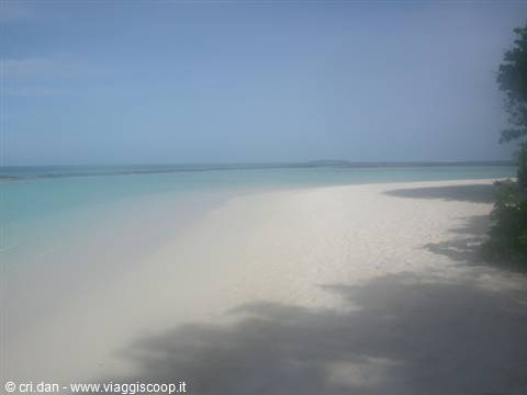 White sand and turquoise water, tree shadows on the empty beach