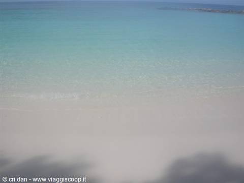 Clear turquoise water over pale sand, leaf shadows in the foreground