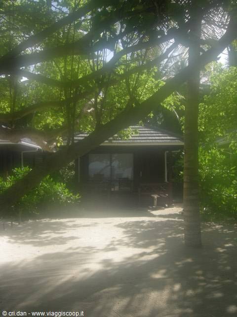 Bungalow among palm trees, sandy ground and filtered sunlight
