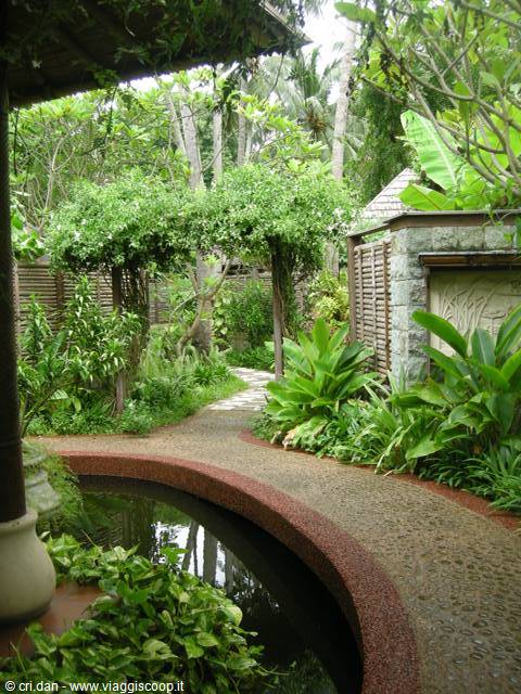 Curved pebble path beside a reflecting pond, among tropical plants and pergola