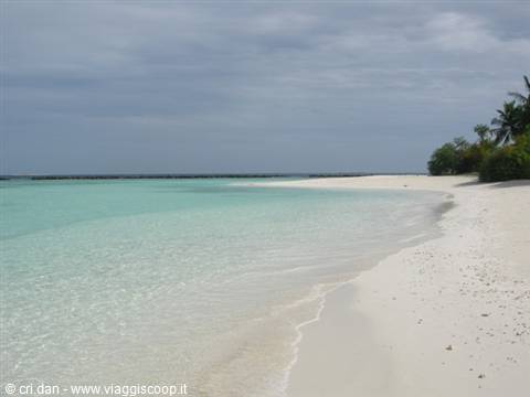 White sand beach with turquoise water and palm trees under cloudy sky