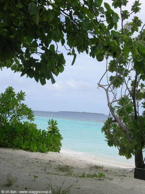White sand beach framed by green branches, turquoise water, distant island