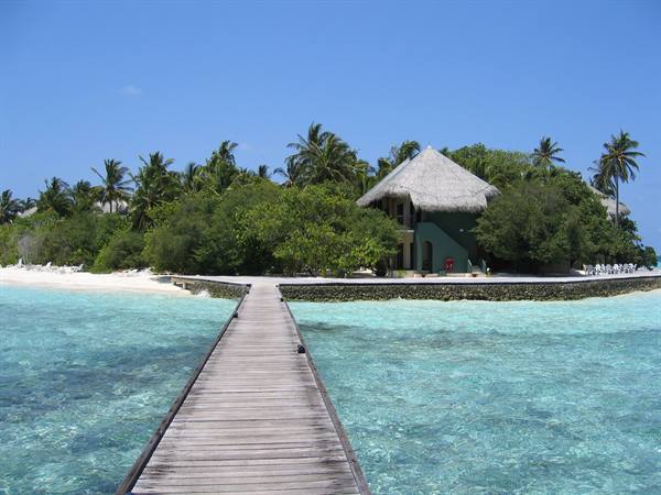 from the South pier