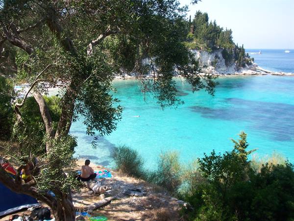 Campers among olive trees on white rocks above turquoise water, Paxos