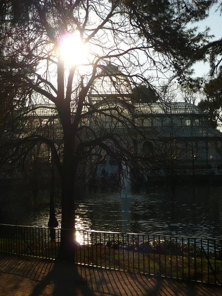Crystal Palace behind a bare tree, low sun over the Retiro pond
