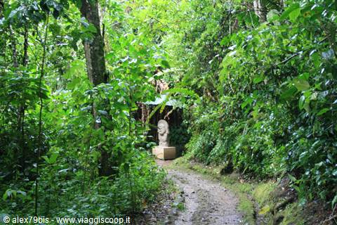 Stone statue along a muddy path in the lush tropical forest