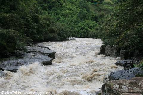 Rushing muddy river flowing between dark rocks and tropical forest