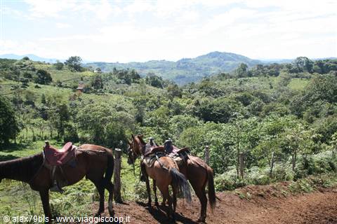 Three saddled horses tied to a wooden fence among green hills