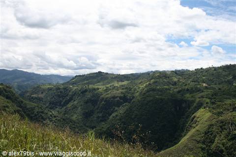 Green hills covered with vegetation under white clouds