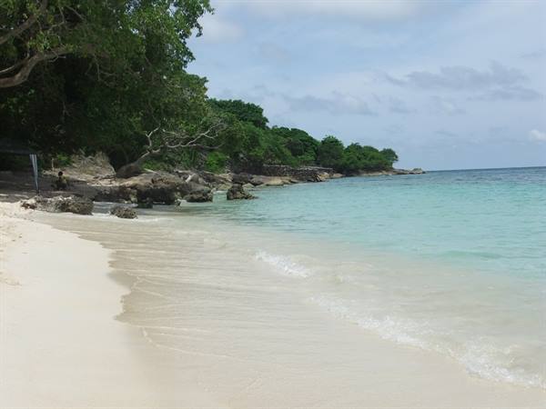 White sand beach with rocks, green trees and clear turquoise water