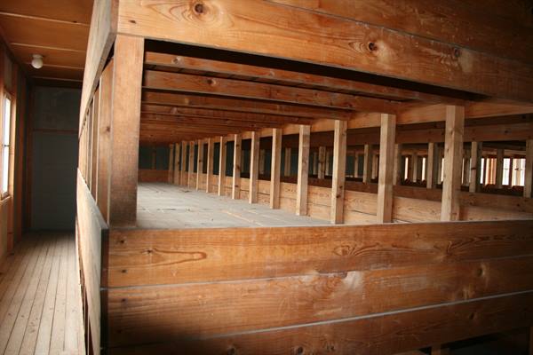 Raw wooden bunk beds inside a barracks, light coming through windows