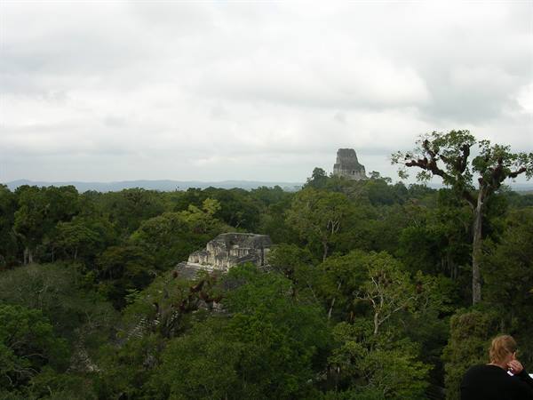 tikal