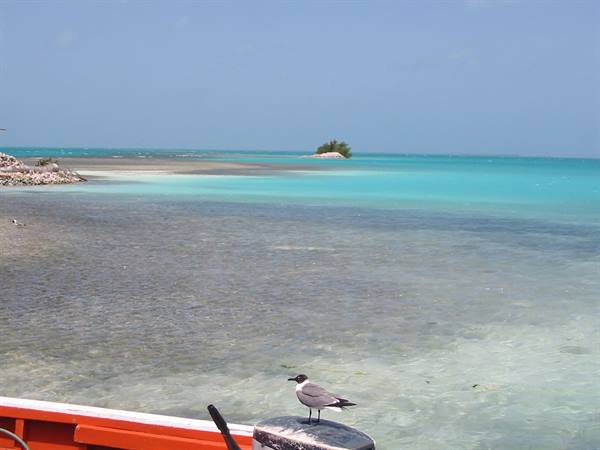 los roques 
