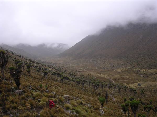 valley below shimpton's camp