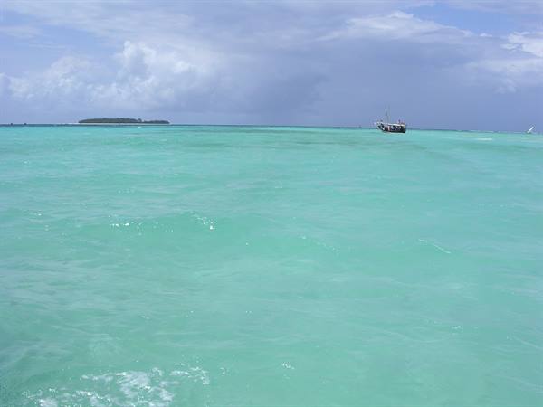 Mnemba island