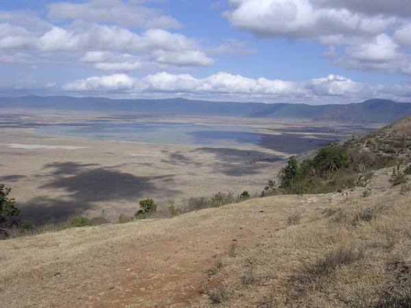 Ngorongoro