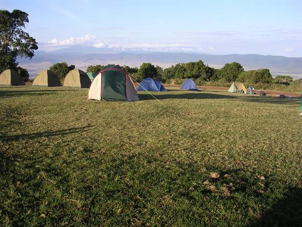 Ngorongoro