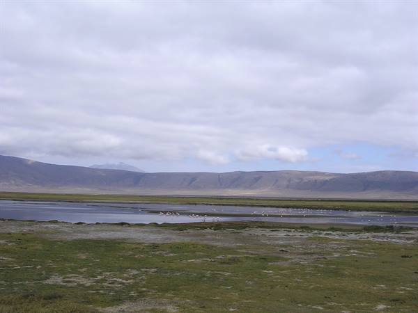 Ngorongoro