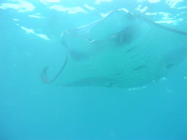 Sangalaki