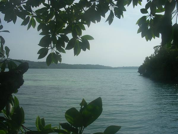 Kakaban-inner lake