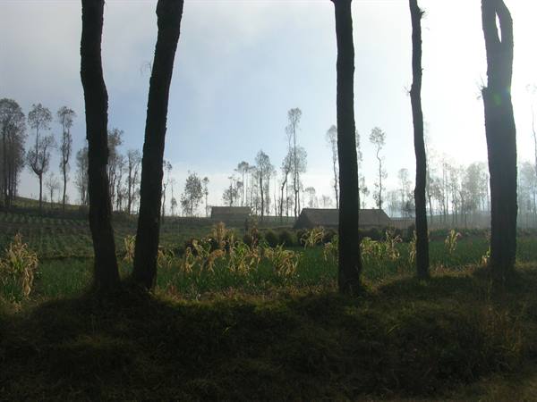 Mount Bromo