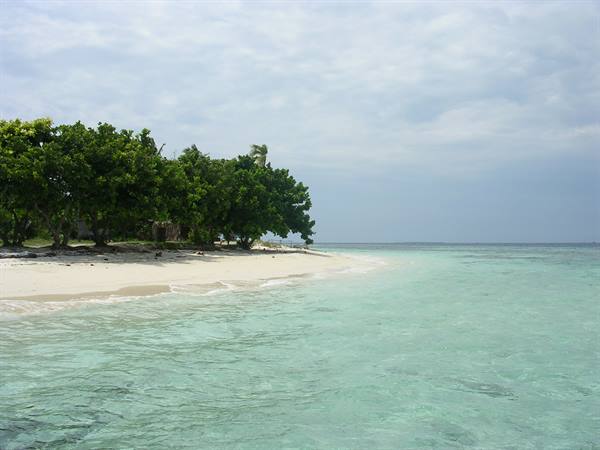 White sand beach with green trees and turquoise water under cloudy sky