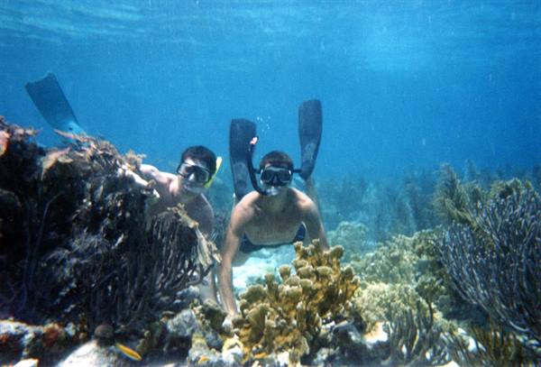 Two snorkelers with fins and masks swim among corals and sea fans