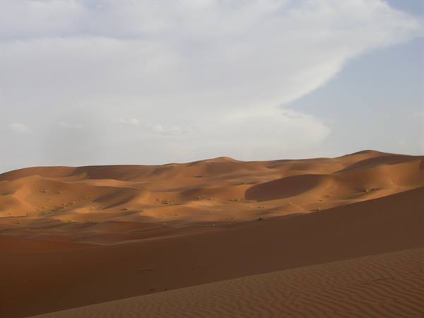 Desert at Merzouga