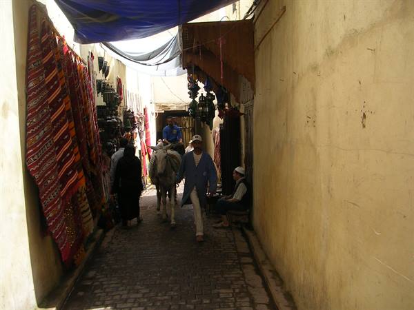 Man leading donkey through a narrow Fes medina alley with hanging carpets