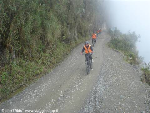 Cyclists in orange jackets ride down a foggy gravel road