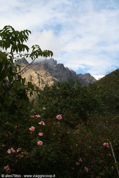 Andes and Mururata